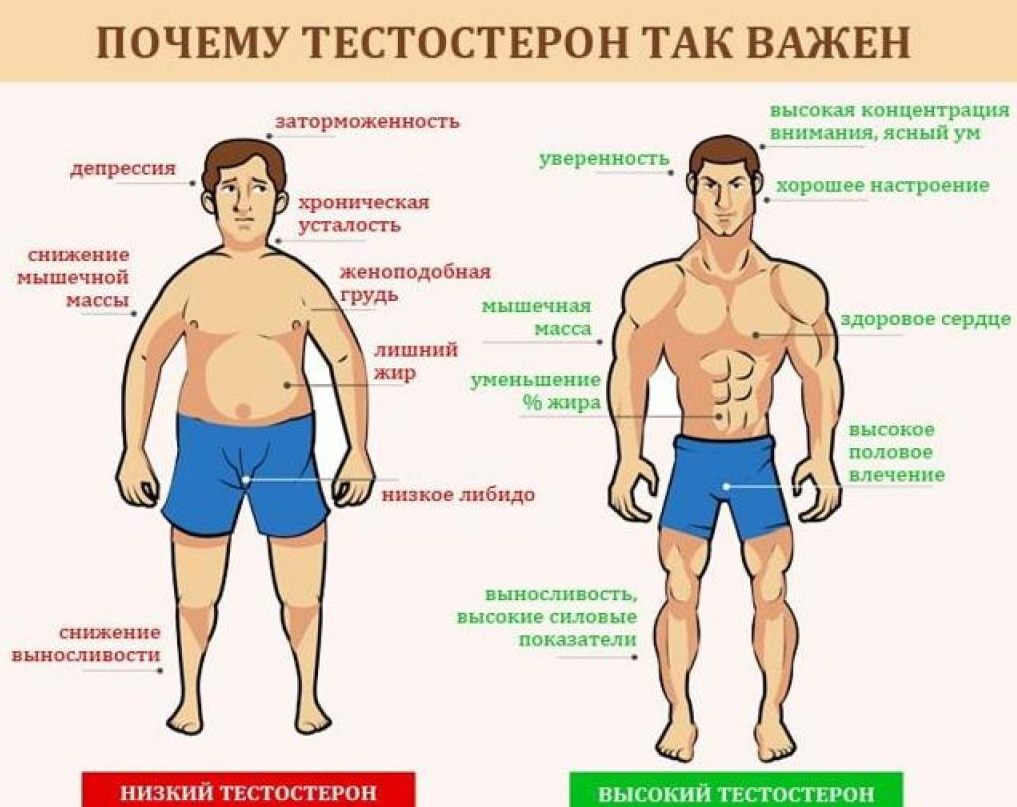 Рекомендации с методикой ГЗТ при мужском гипогонадизме