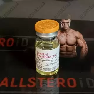 BD TESTABOL ENANTHATE - 250 (БЕЗ КОДА)