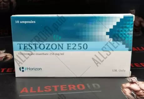 HORIZON TESTOZON E