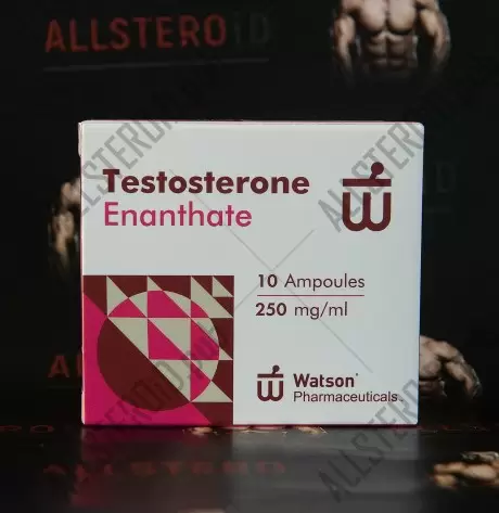 Watson New Testosterone Enanthate