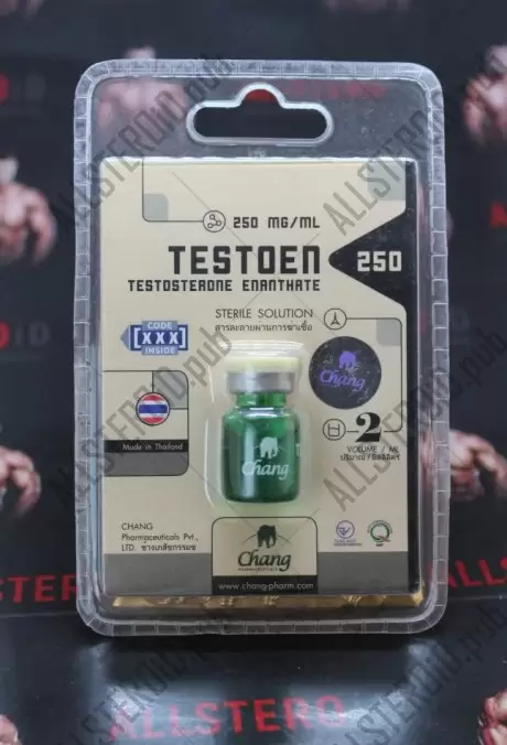 TestoEn 250 (Chang Pharma)