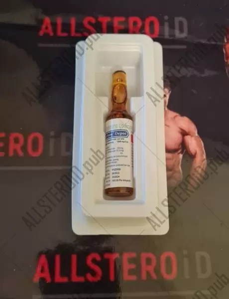 Testosterone Undecanoate injection