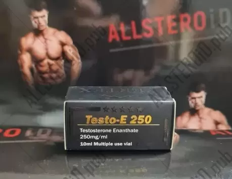 VERTEX TESTO-E