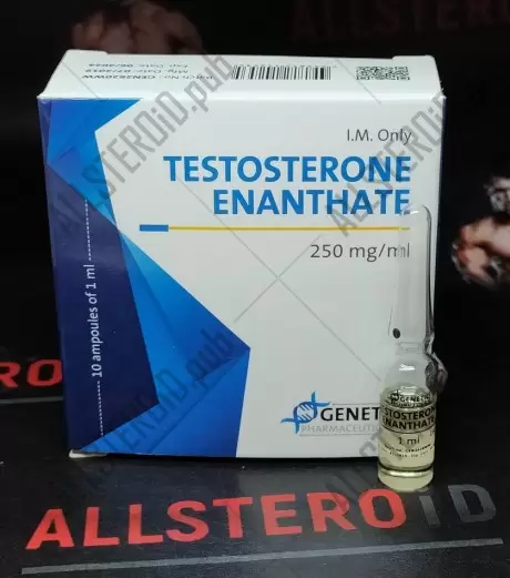 GENETIC TESTOSTERONE E 250MG/ML - ЦЕНА ЗА 1 АМПУЛУ