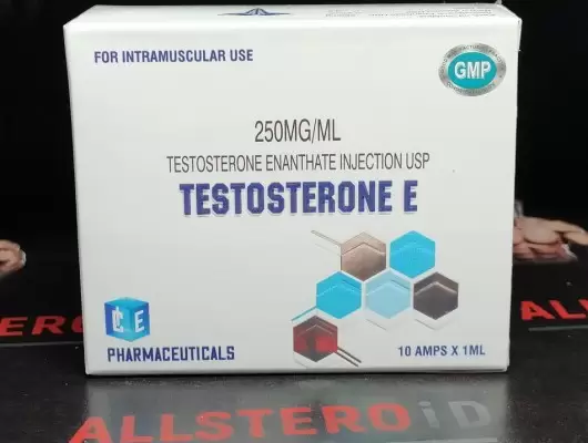 ICE TESTOSTERONE E 250mg/ml - ЦЕНА ЗА 1 АМПУЛУ