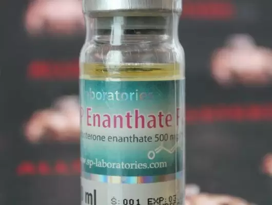 Enanthate forte 500 (SP labs)