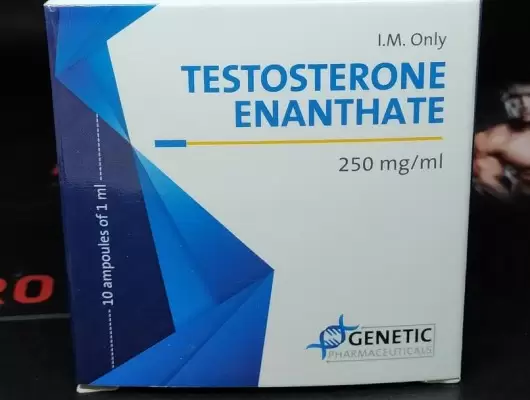 GENETIC TESTOSTERONE E 250MG/ML - ЦЕНА ЗА 1 АМПУЛУ