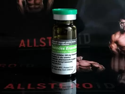 SCIROXX TESTODEX ENANTHATE 250mg/ml - ЦЕНА ЗА 10МЛ